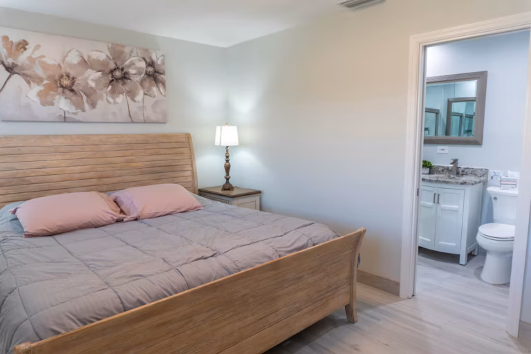 Bedroom 1 (king bed)
