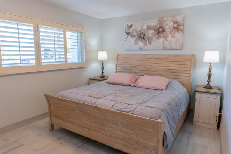 Bedroom 1 (king bed)