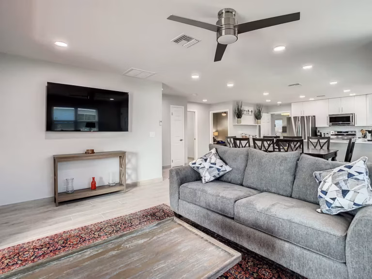 Living room (with sofa bed)