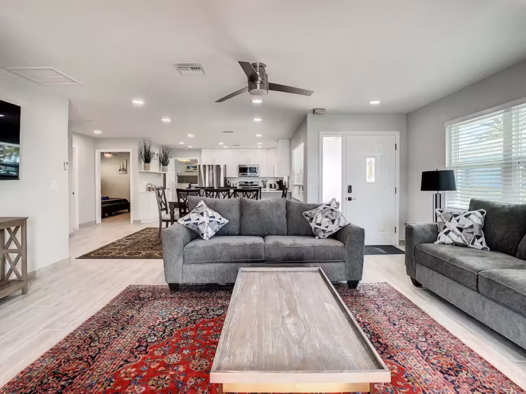 Living room (with sofa bed)