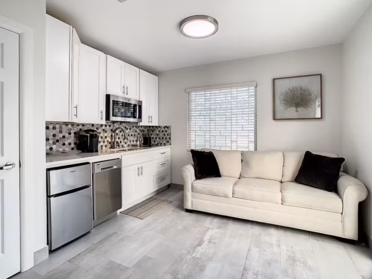 Living room (with sofa bed)